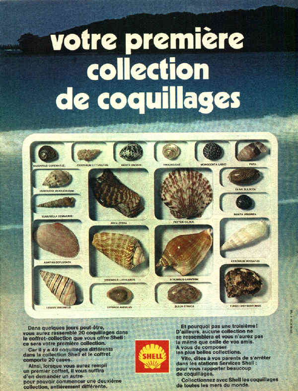 pub-shell01.jpg (921041 octets)