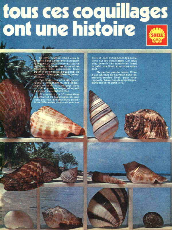 pub-shell03.jpg (876685 octets)